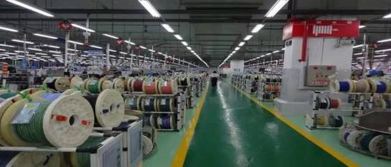 新成立4個黨支部，園區“兩新”黨組織再添生力軍——以輪胎產業為例，看黨建引領下的高質量發展